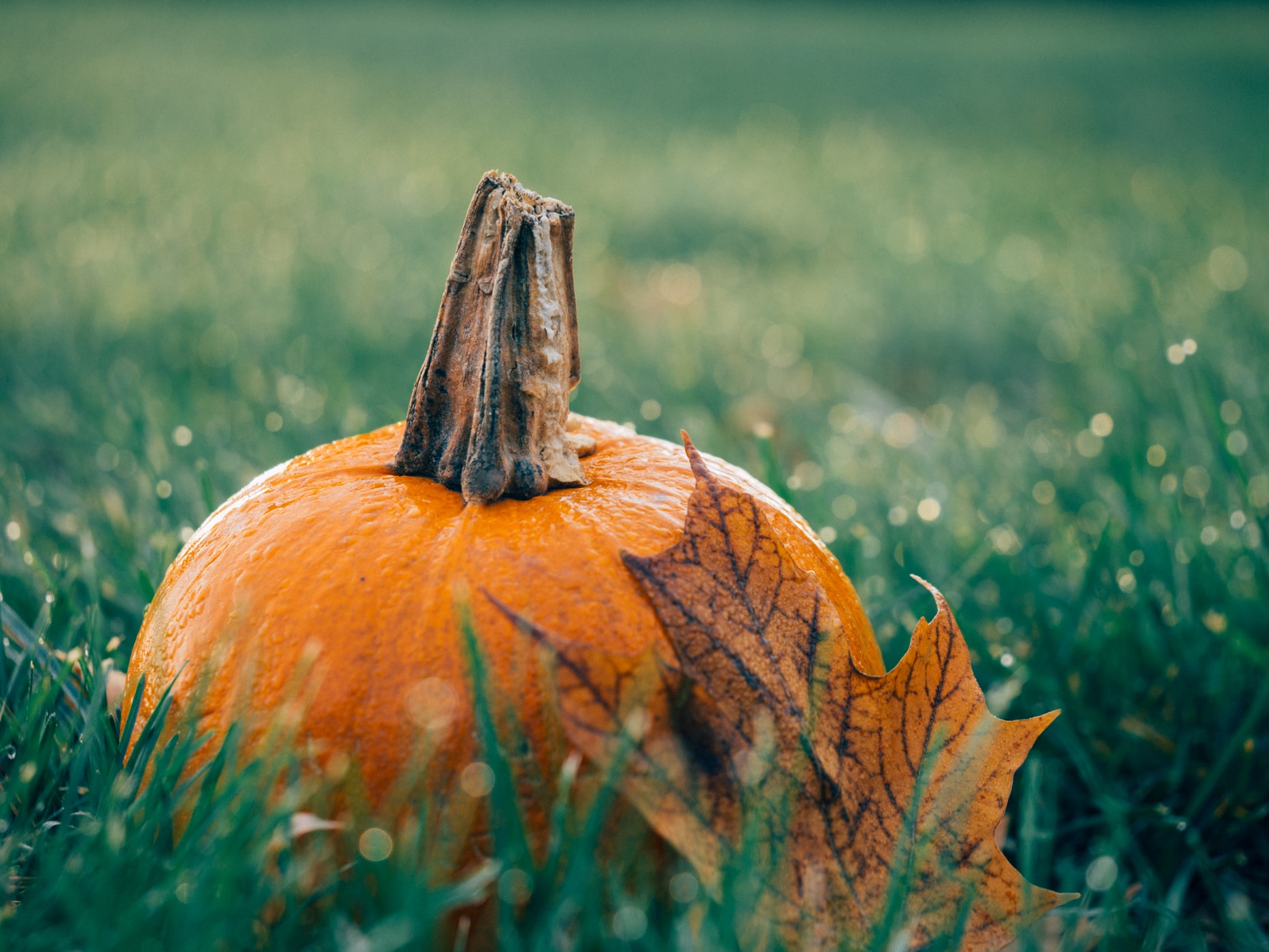 October’s customer community highlights: Brexit-mania, the rise and fall of a unicorn, sustainability week and more