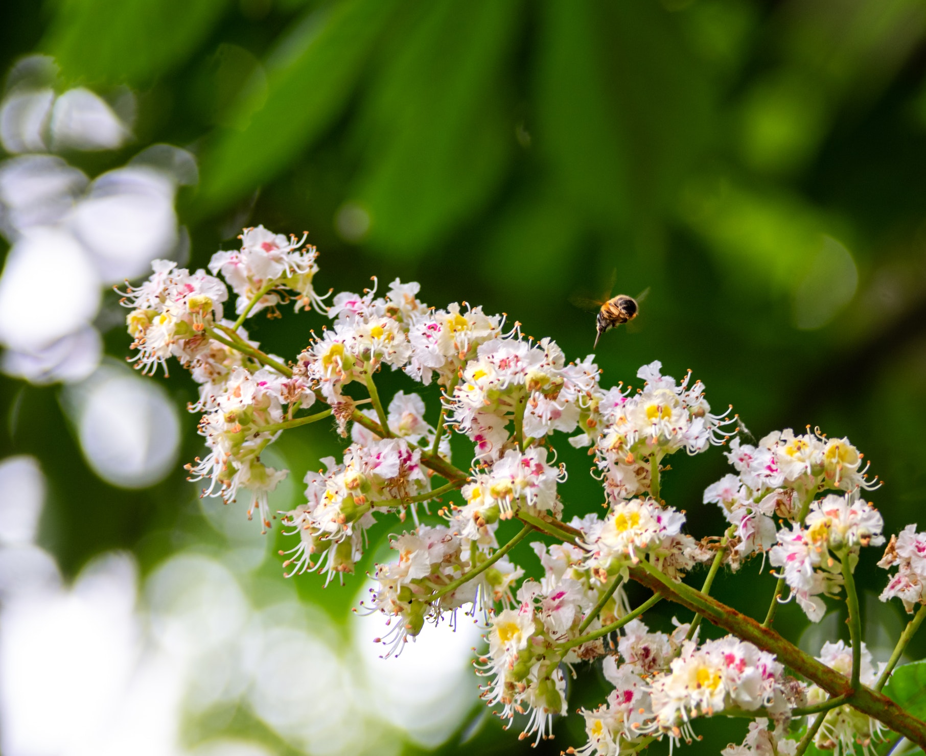 May’s customer community highlights: Connected content, influencer marketing, crossing networks and much more
