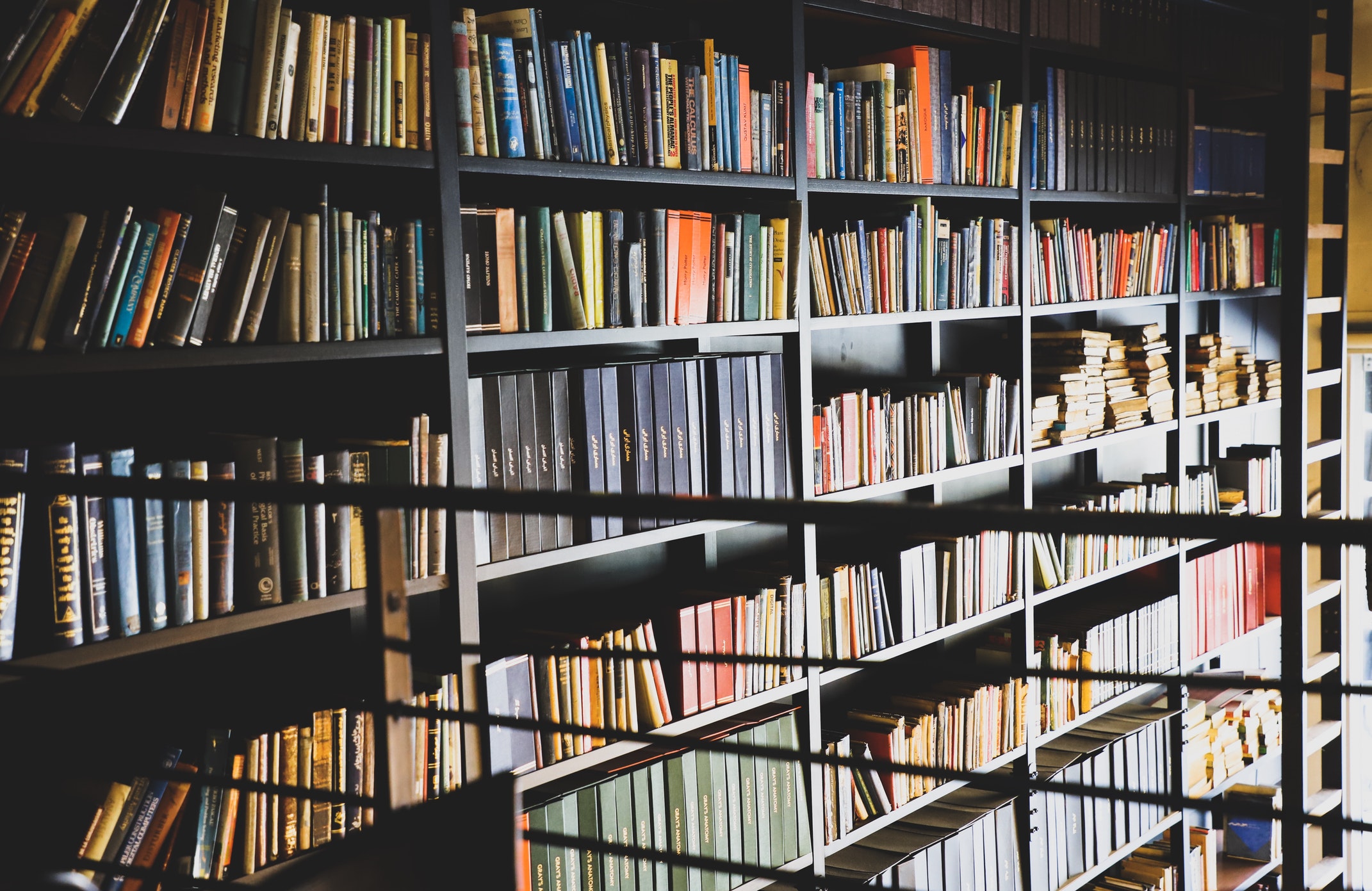 Take The Library Home at Night
