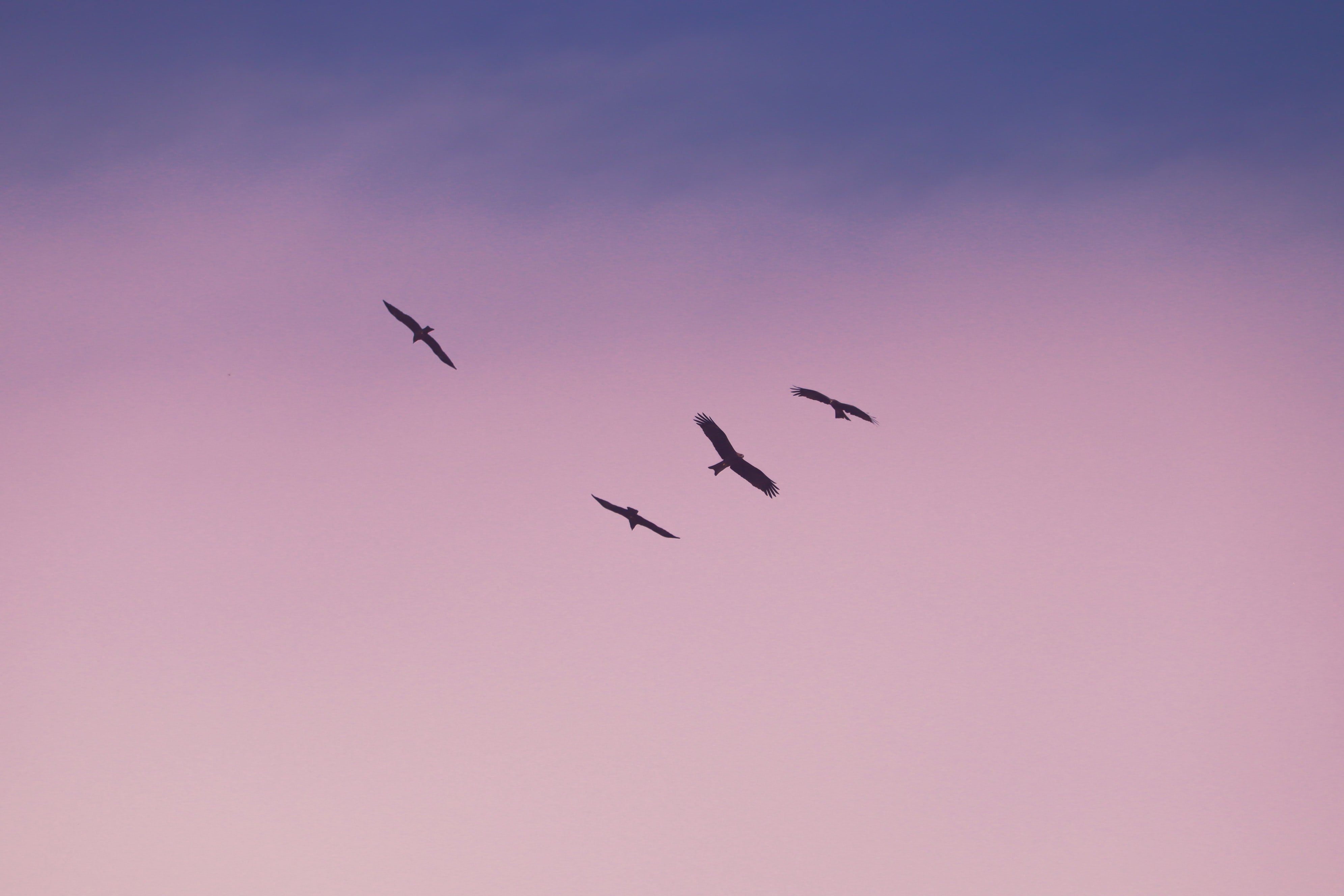 It's time to reimagine engagement